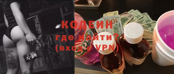 мдпв Дмитриев