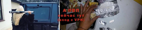 мдпв Дмитриев