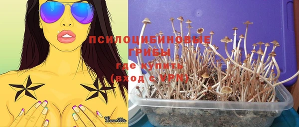 МДМА Дмитровск
