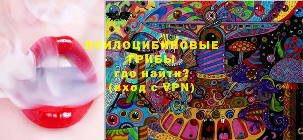 мдпв Дмитриев