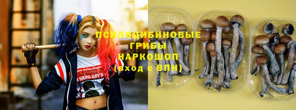 МДМА Дмитровск