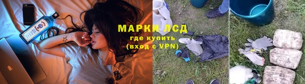 мдпв Дмитриев